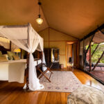 3-Day Honeymoon Fly-In Safari at Elewana Sand River Mara