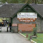 5-Day Classic Kenya Safari: Masai Mara, Lake Nakuru & Naivasha