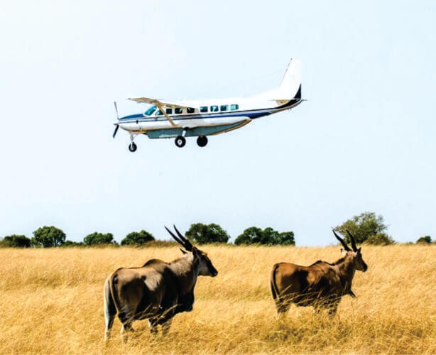 8-Day Luxury Flying Safari: Amboseli • Samburu • Masai Mara