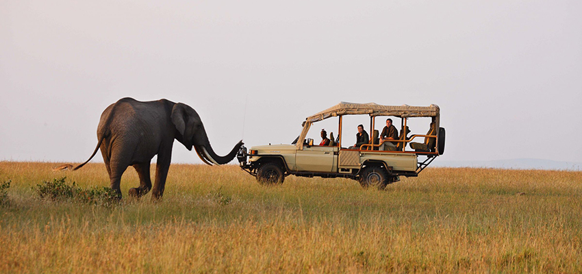 3 Days, 2 Nights Masai Mara Safari Adventure