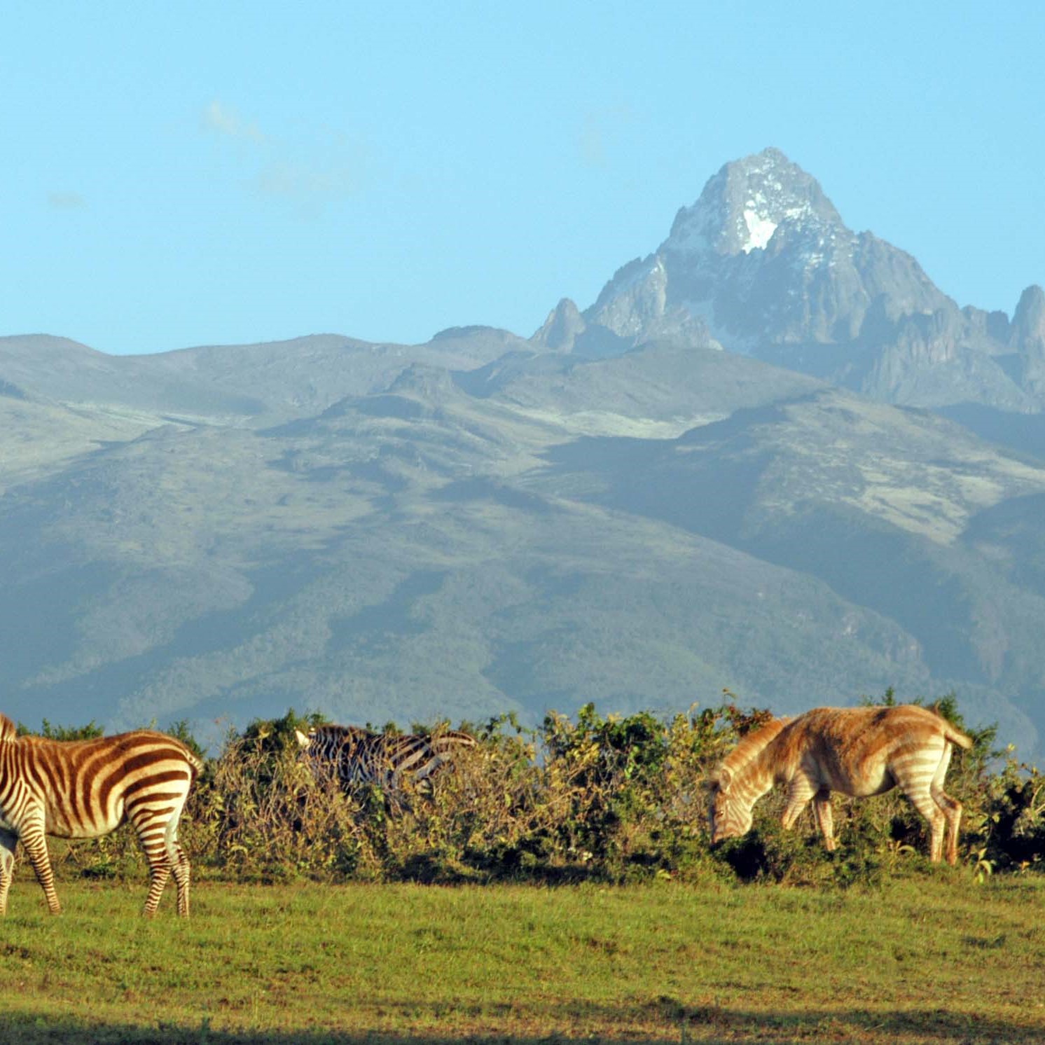 mt kenya